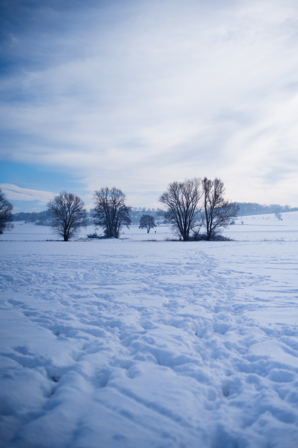 Week 4 – Cold Color&nbsp;Psychology